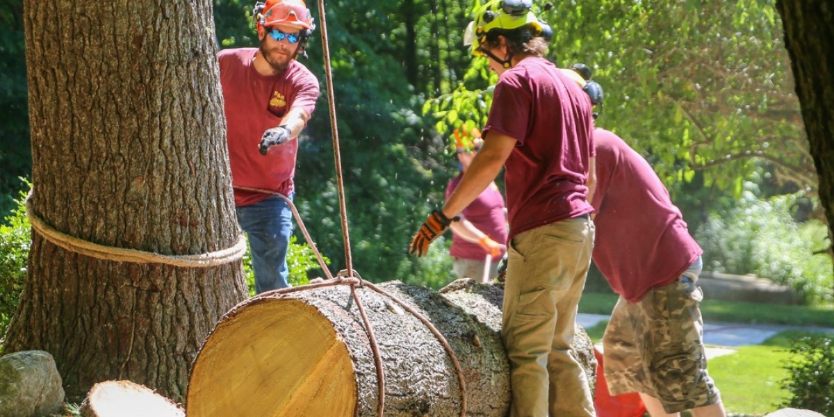 Title: Your Trusted Wisconsin Firewood Supplier – Kiln-Dried Quality & Affordable Delivery