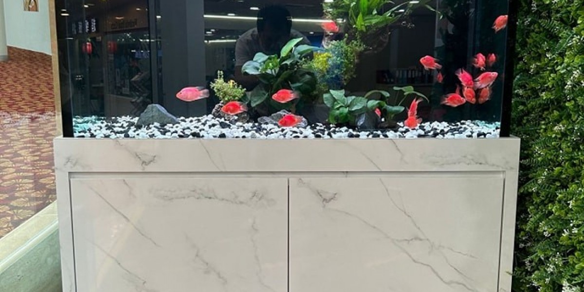 Whole Story Behind Marine Aquariums And Hiring a Professional To Take Care Of Your Fish Tank In Singapore