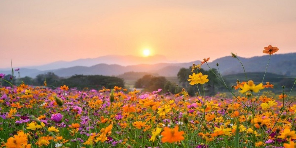 80 Spring Jokes to Experience the Resurgence of All Things