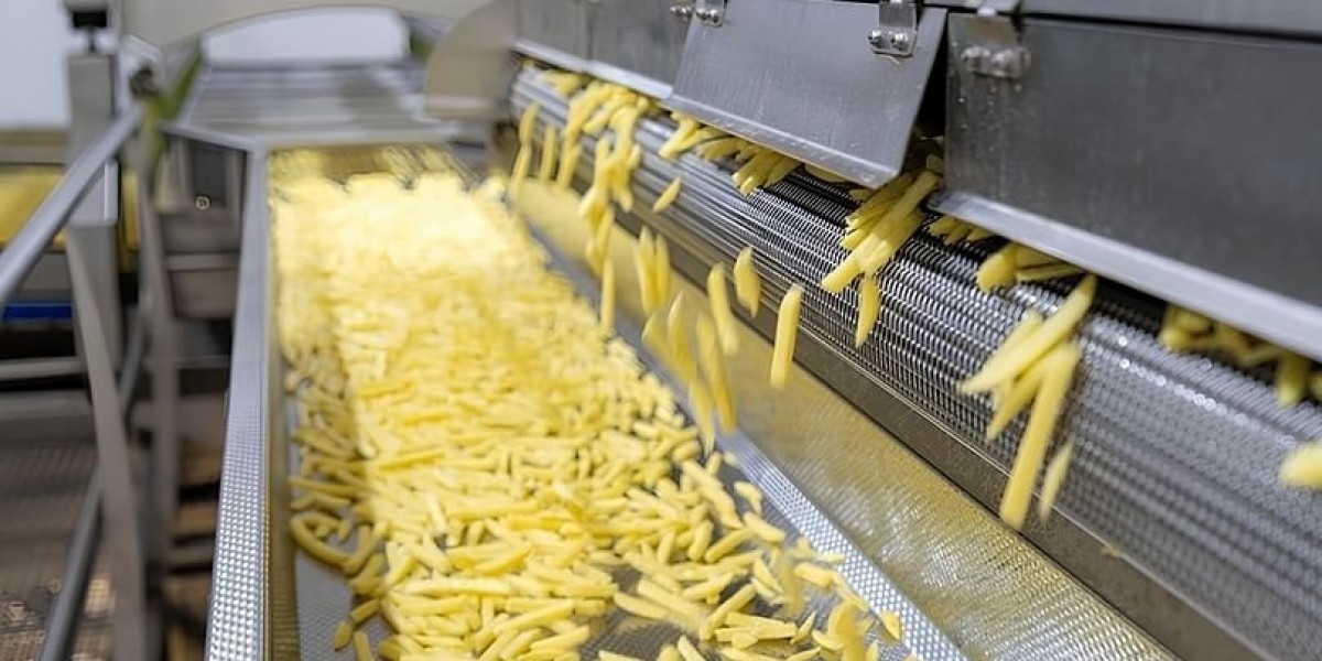 Vegetable Fries Manufacturing Plant Cost and Requirements Report to Setting up an Unit | By IMARC Group