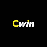 CWIN DIY Profile Picture