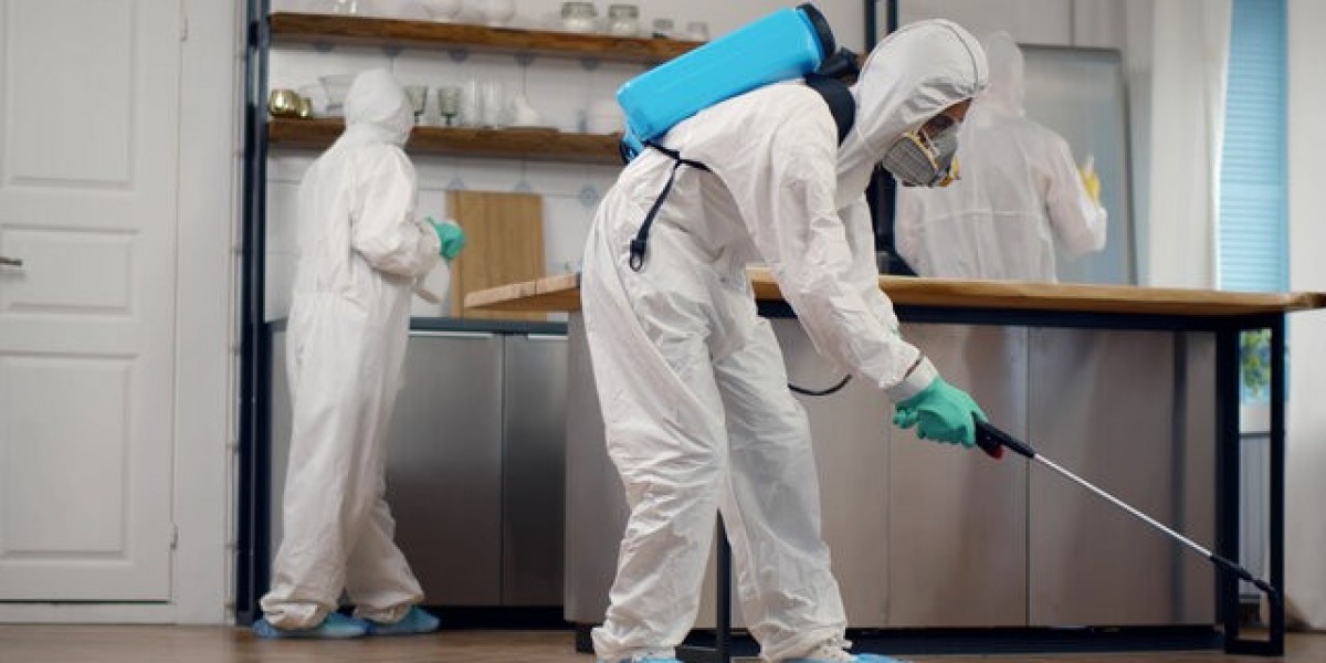 Fast & Reliable Roach Control in Brooklyn: Expert Guide