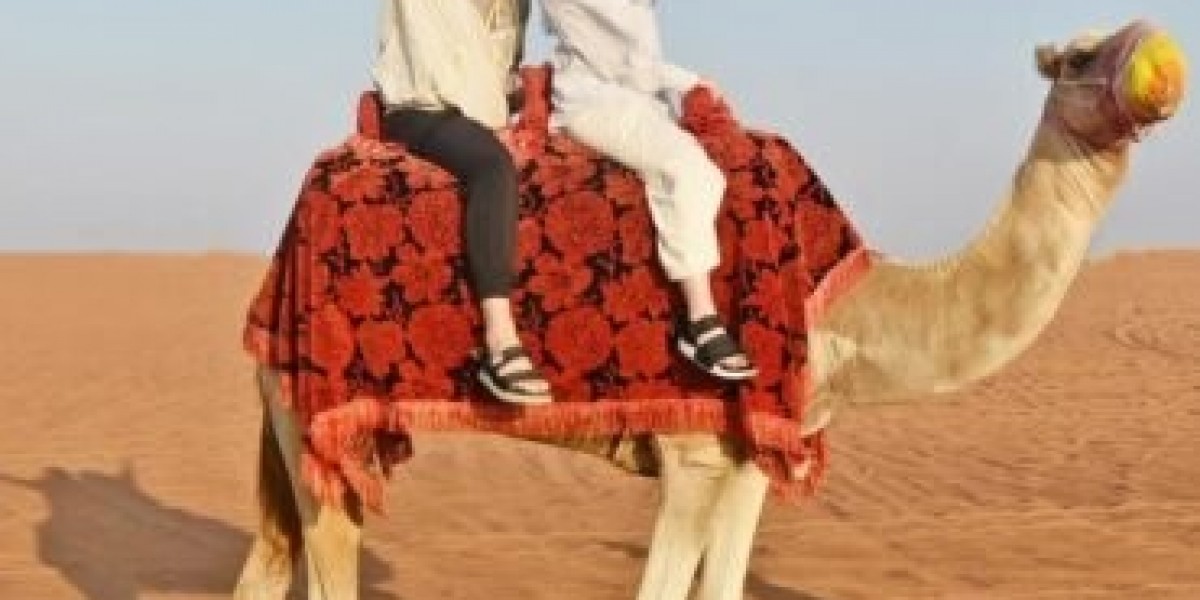 From Dunes to Stars: A Journey You Won’t Forget