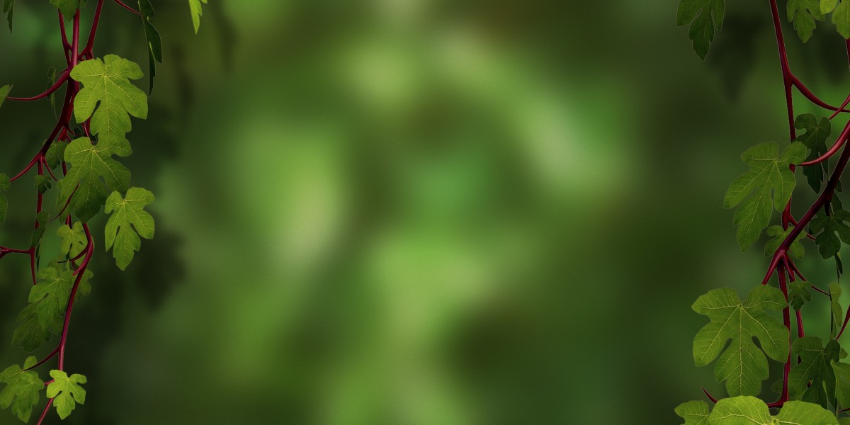 A Comprehensive Evaluate Of Gold IRA: An In-Depth Case Study