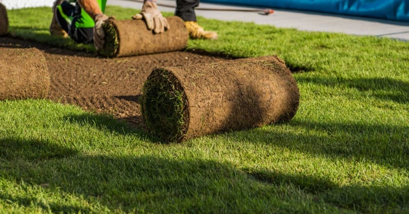 Creating Green Spaces with Professional Landscaping in South Auckland - Vista Landcare