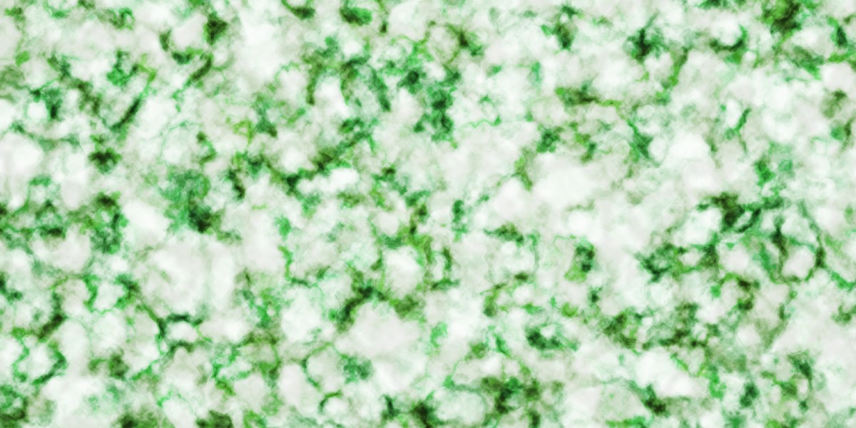 Natural Remedies For Erectile Dysfunction: A Comprehensive Overview