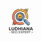 Ludhiana SEO Experts Profile Picture