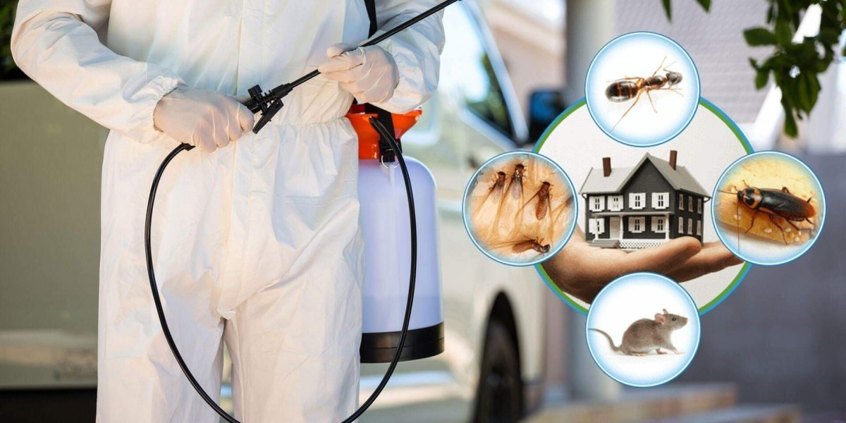 Effective Bed Bug Management: What Businesses Need to Know