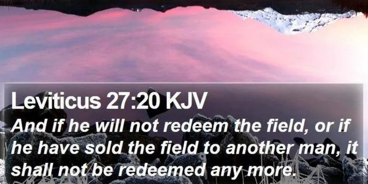What Does Leviticus 27:20 Mean?