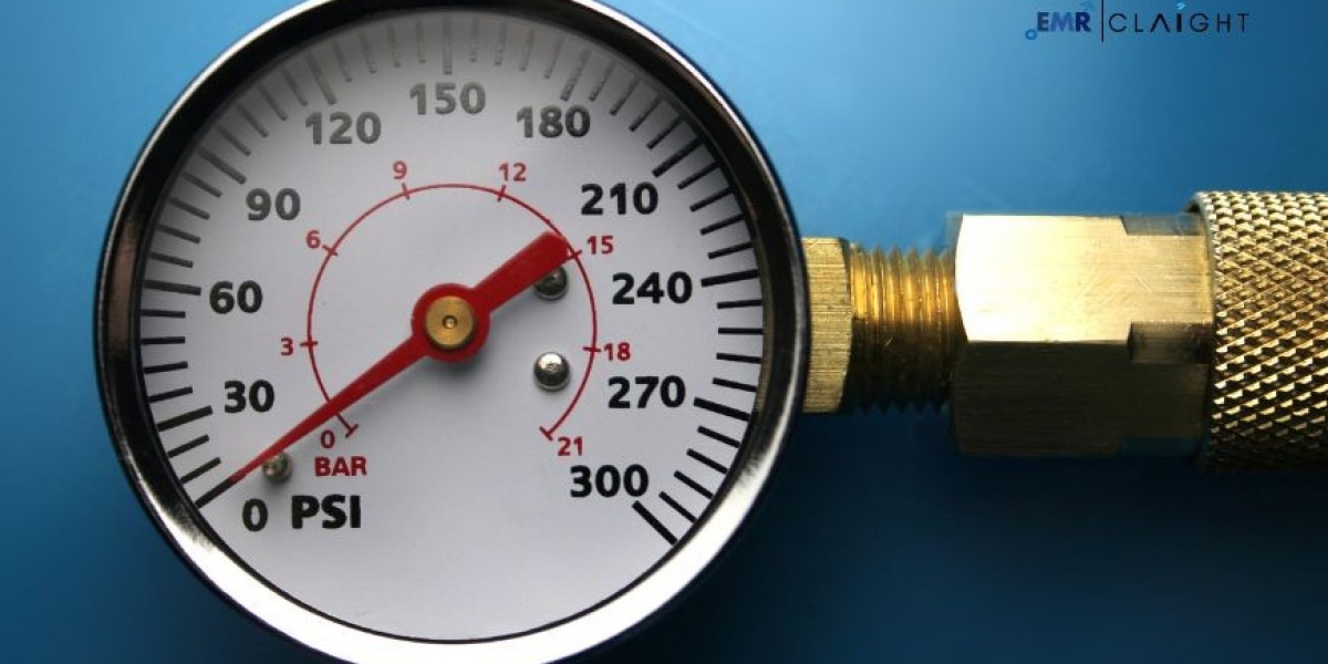 Pressure Gauge Market Forecast 2025–2034: Trends, Growth, and Opportunities