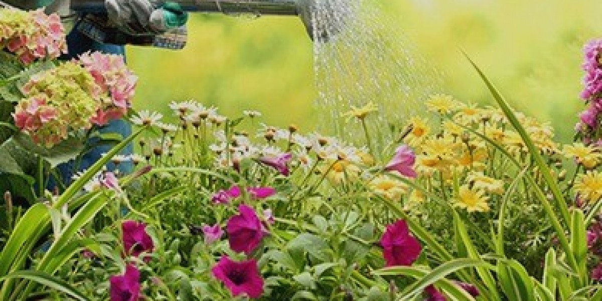 Garden Maintenance Services in Maroubra – Keep Your Garden Healthy and Beautiful