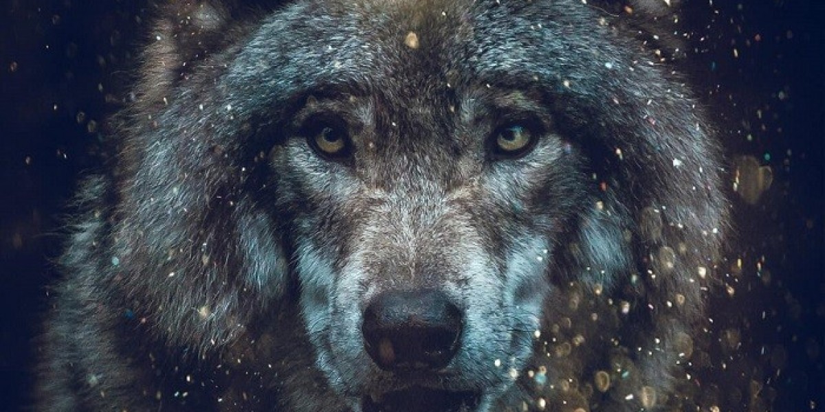 Spirit Animal Meanings for Healing, Peace, and Balance