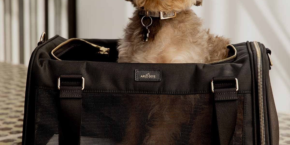 Travel with Confidence: The Ultimate Guide to Picking the Right dog carrier for dogs