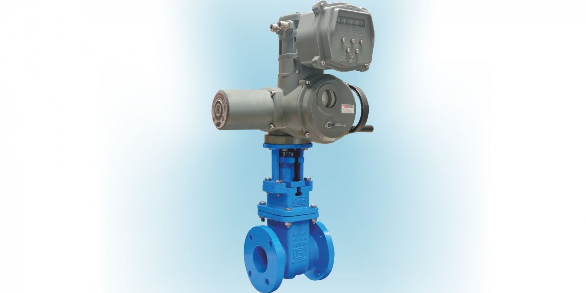 Motorized Sluice Valves in India – Trusted Manufacturer & Supplier