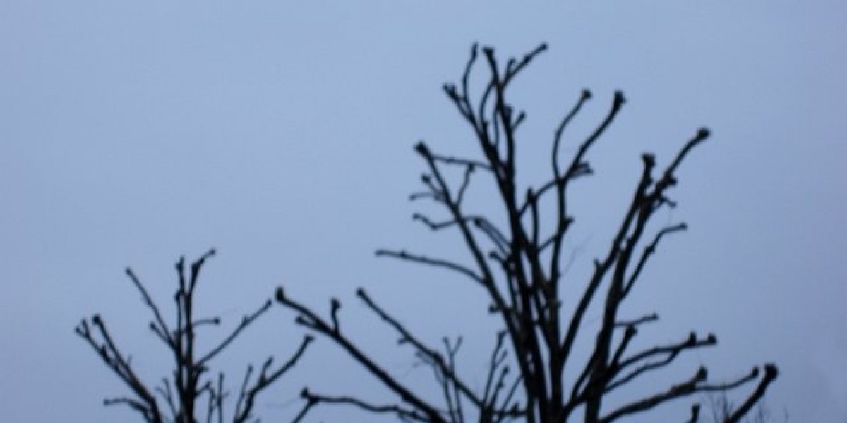 "Discover How KPV Peptide Enhances Health: A Look at Capsule Form"