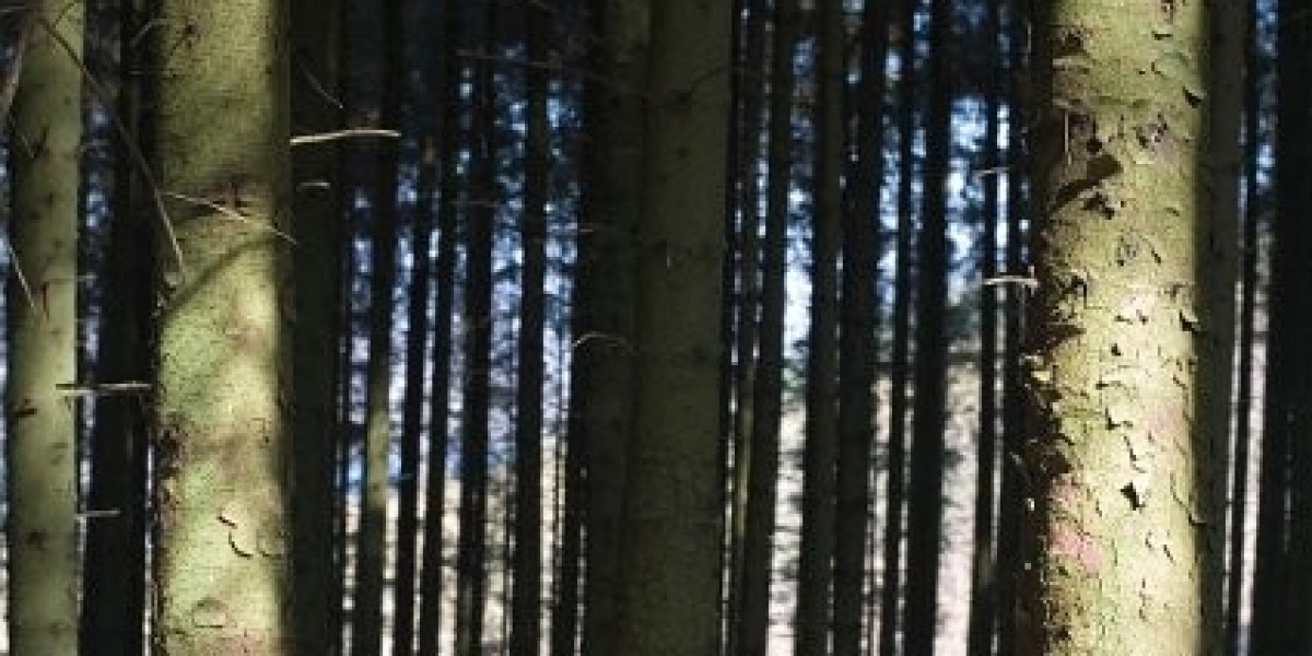 Wie viel wächst man mit Wachstumshormon?