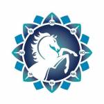 Bhakti Marga Profile Picture