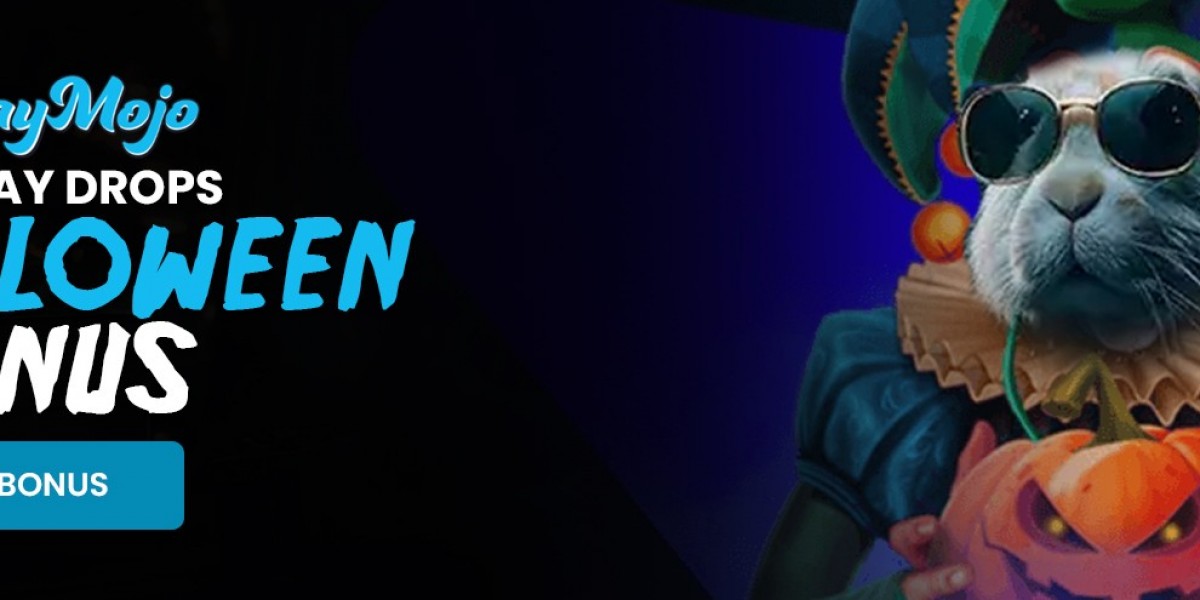 Playmojo: New Zealand’s Next-Level Adventure in Interactive Entertainment