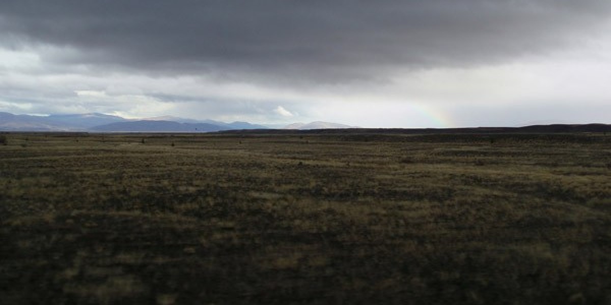 Dianabol Stacking Competitive Bodybuilding