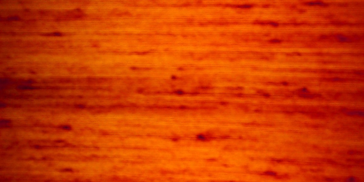 Anavar Cycle: Key Information And Incessantly Asked Questions