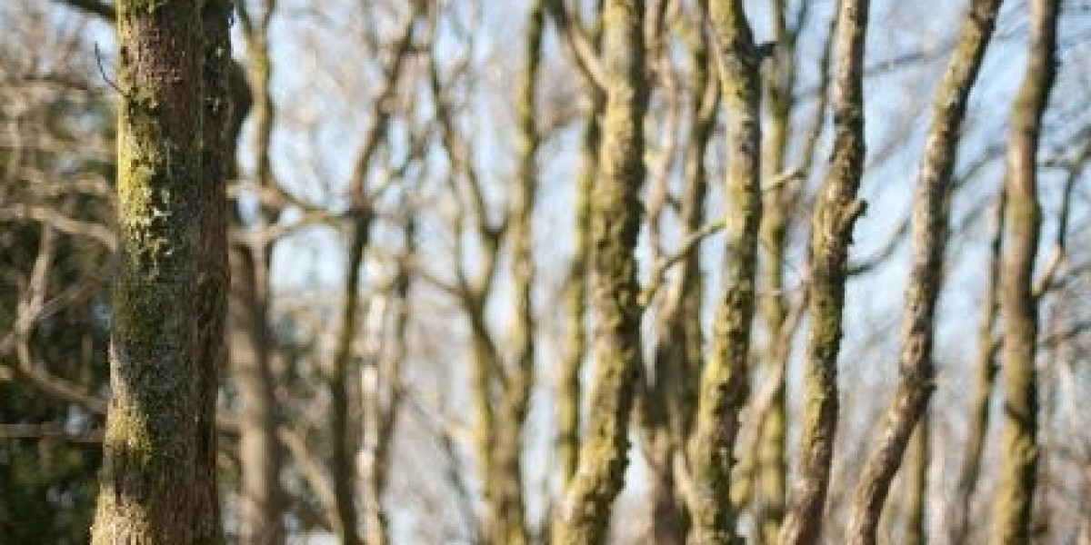 Sustanon Genopharm, Anadrol And Dbol Stack 乒一體育