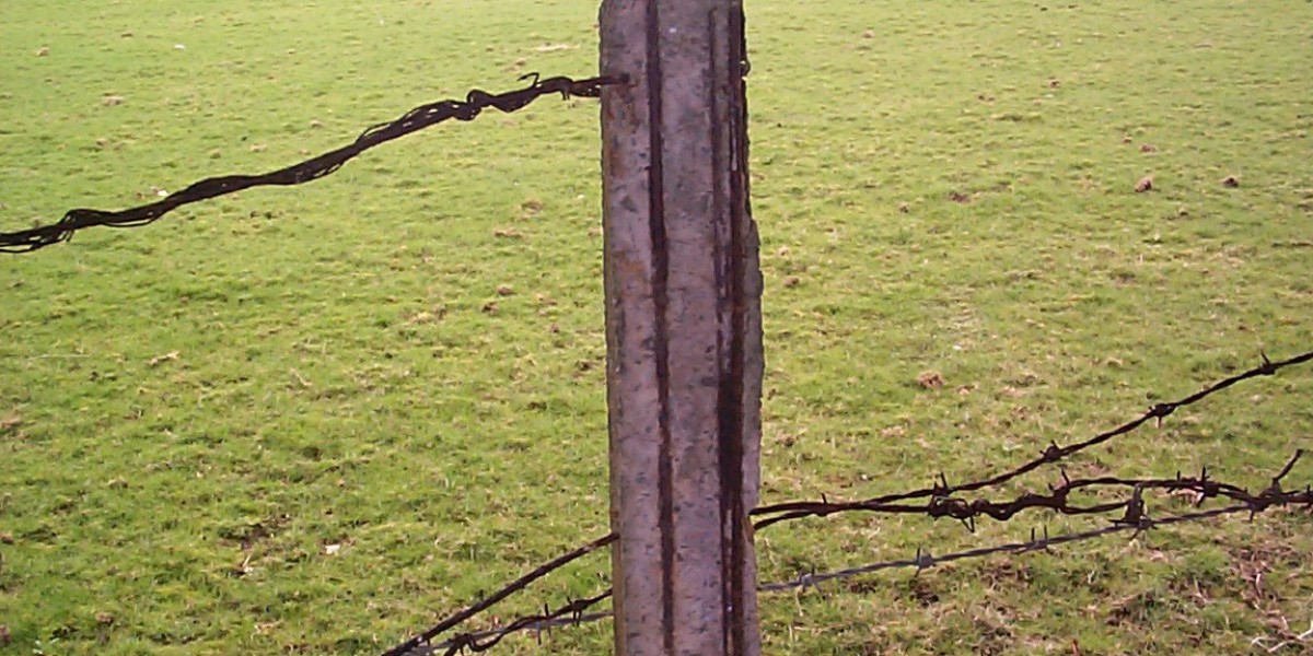 Wachstums­hormon: Wirkung und Regulation