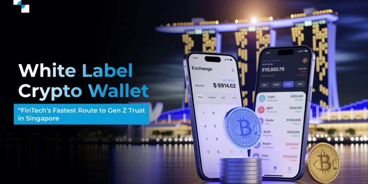 How a White-Label Crypto Wallet Helps FinTechs Win Gen Z & Millennial Singapore Users
