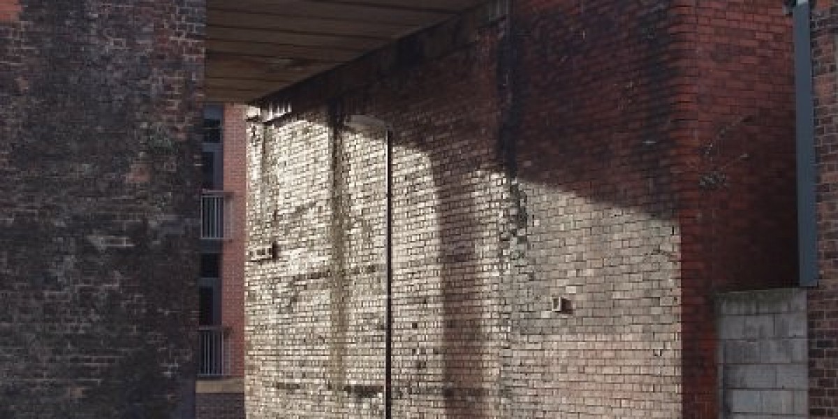 Somatotropin – Wirkung und Definition