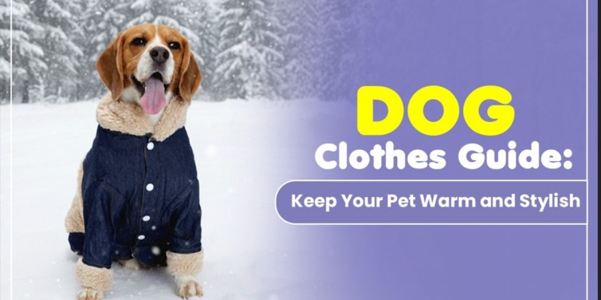 Dog Clothes Guide: Keep Your Pet Warm and Stylish