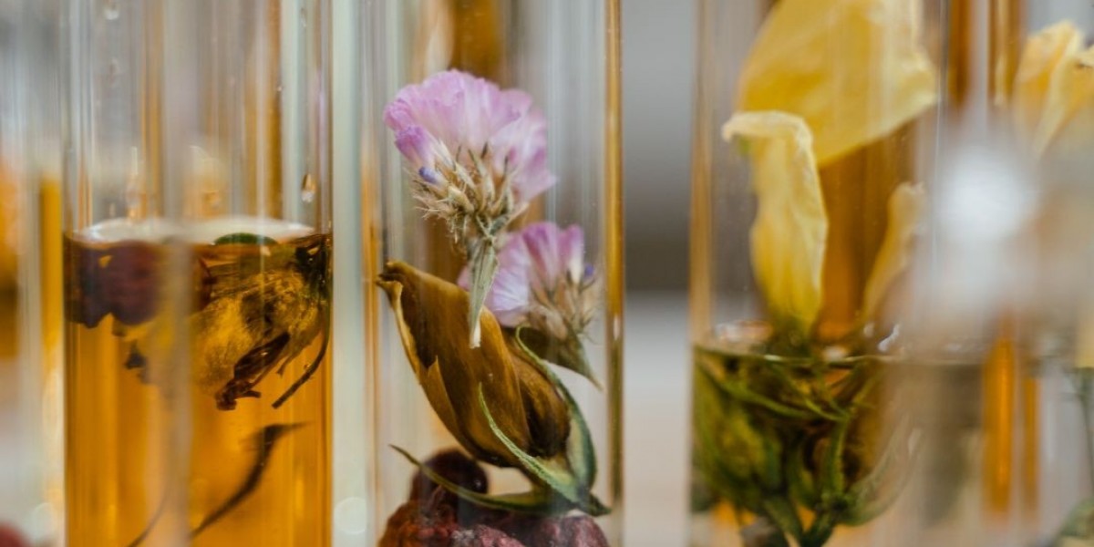 Bogart Fragrance – The Essence of Masculine Sophistication