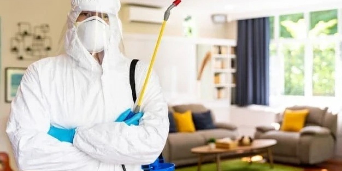 Why Professional Pest Management Matters for a Healthy Home and Business