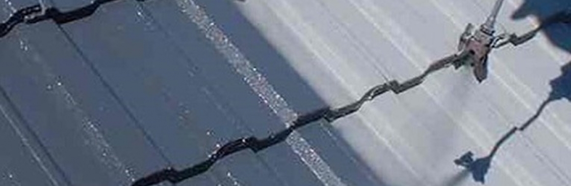 MI Roof Repair Cover Image