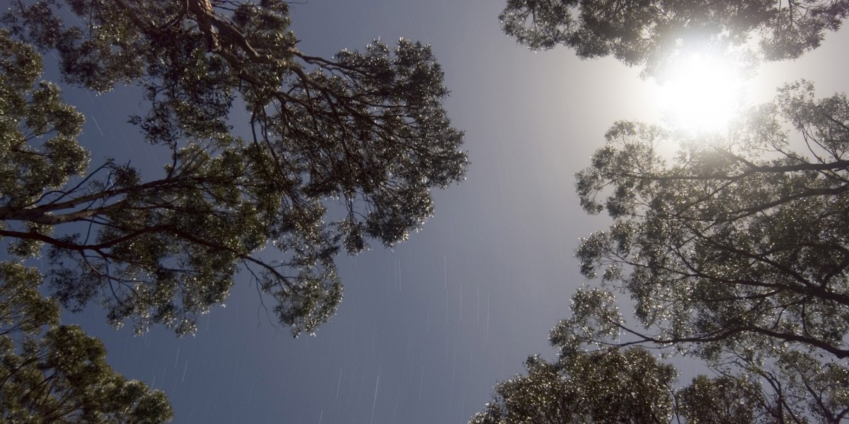 Anavar For Women Athletes And Bodybuilders: Dosages, Cycles, And Results