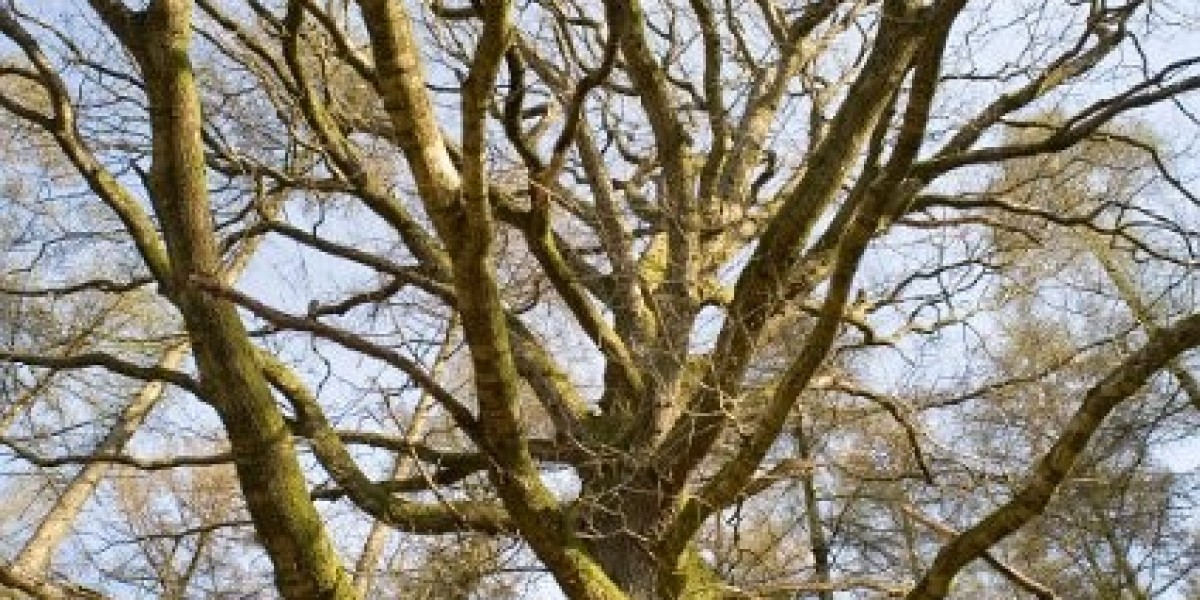 Somatropin – Wikipedia