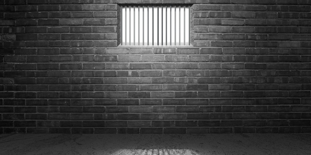 Observational Research on Fast Money Loans Immediately: No Credit Check Options