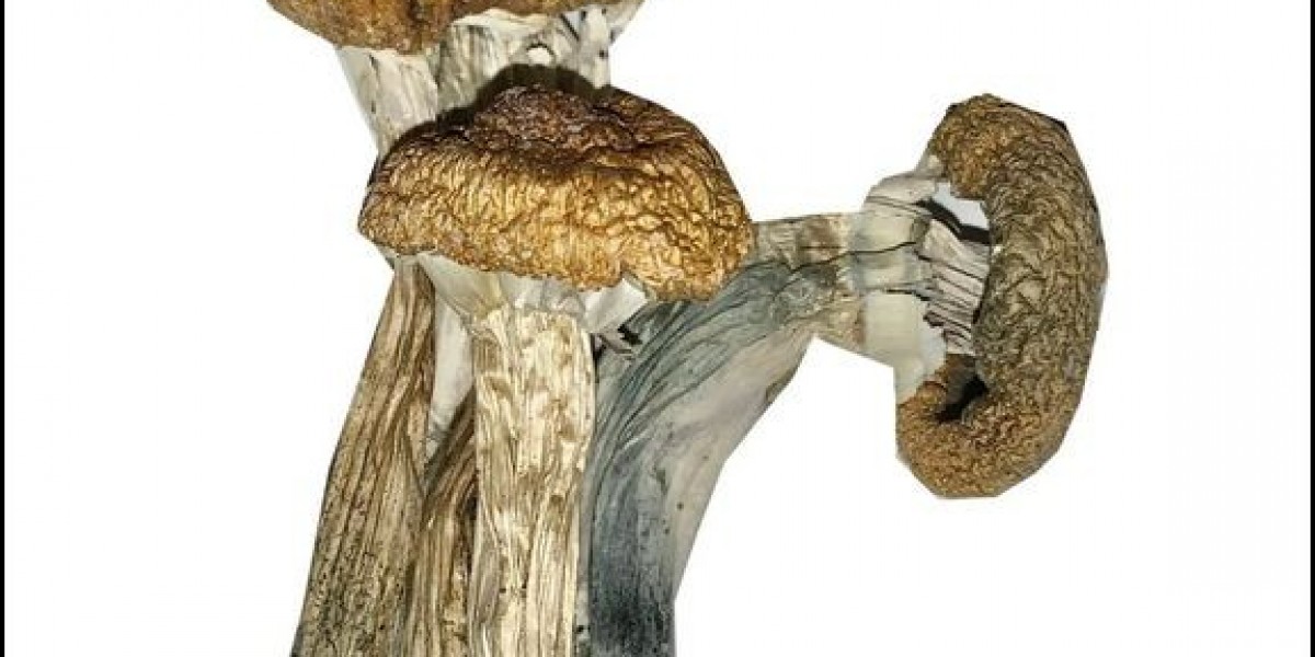 Enhance Your Research or Personal Journey with Our High-Quality, Lab-Verified 5 MeO DMT for Sale