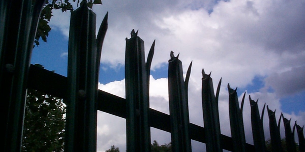 Human Growth Hormone (HGH) – Handbuch für Muskelaufbau, Fettverbrennung und schnelle Regeneration