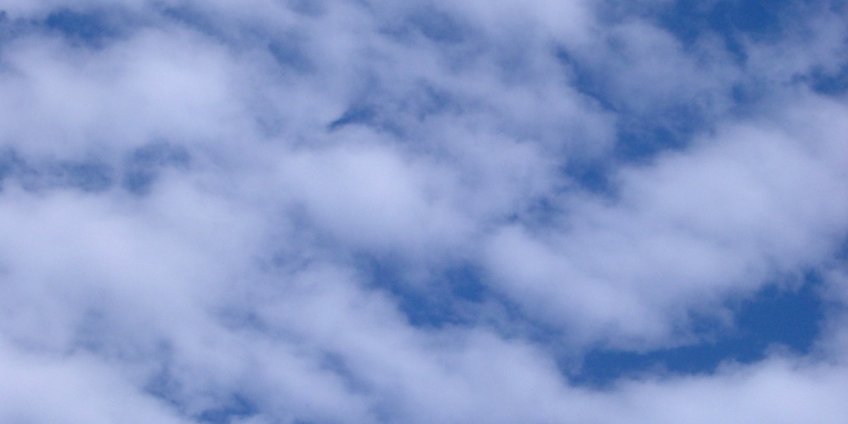 Oral Steroid Cycle Train Your Mind To Build Your Body