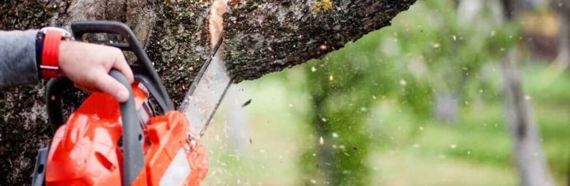 Spitting Chips Cover Image