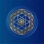 Vibroacoustic Solutions Profile Picture