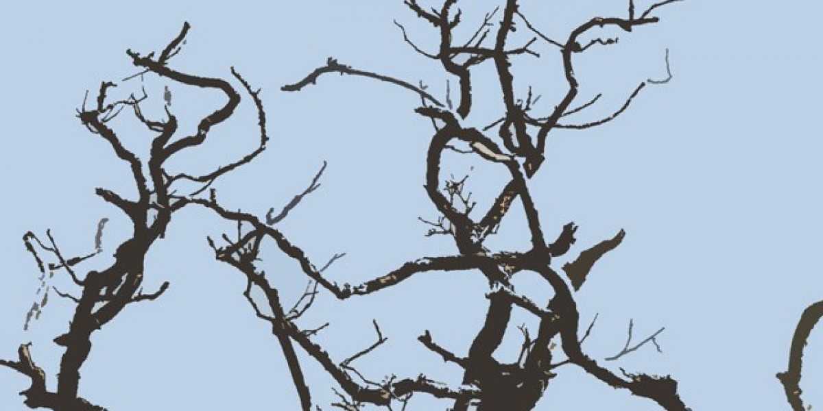 Guideline On What To Avoid When Taking Anavar