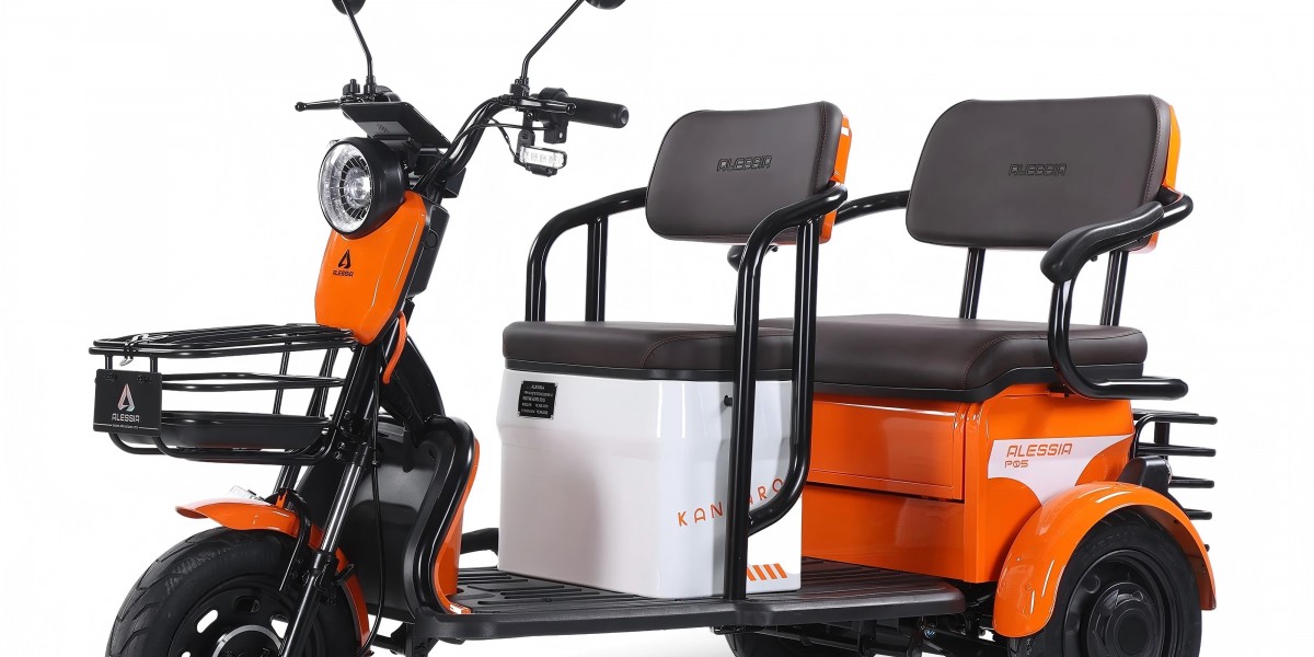 P05 Kangaroo Triciclo Eléctrico: Versatilidad y Eficiencia para la Movilidad Urbana