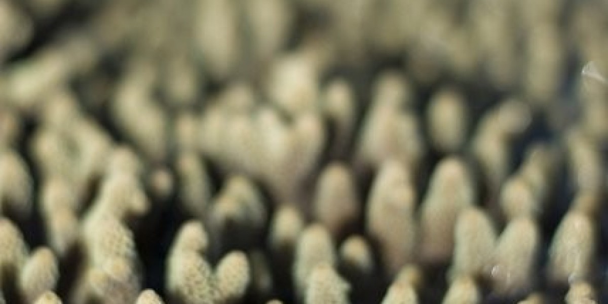 HGH: Was ist ein Wachstumshormon?