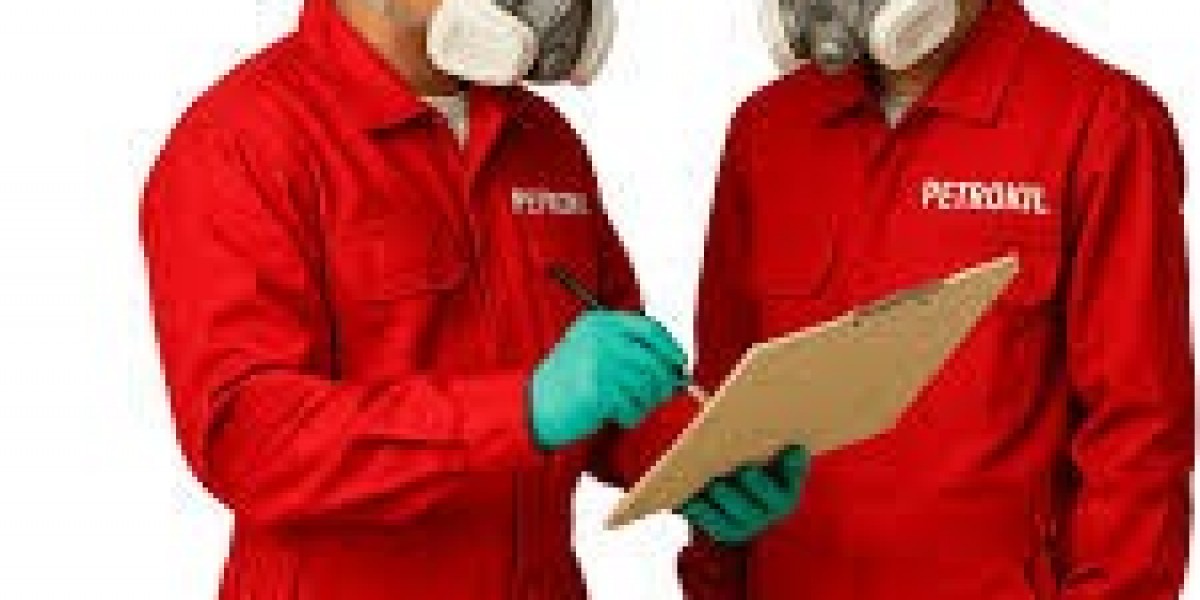 Cegah Kerusakan Besar Akibat Rayap dengan Bantuan Jasa Anti Rayap Profesional