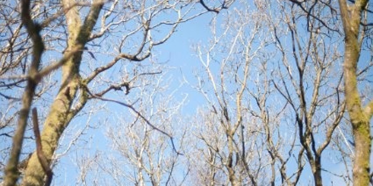 Anavar Results: Earlier Than And After A Complete Evaluation