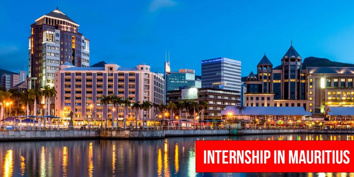 Top Mauritius Internships for International Students: Gain Experience in a Tropical Haven