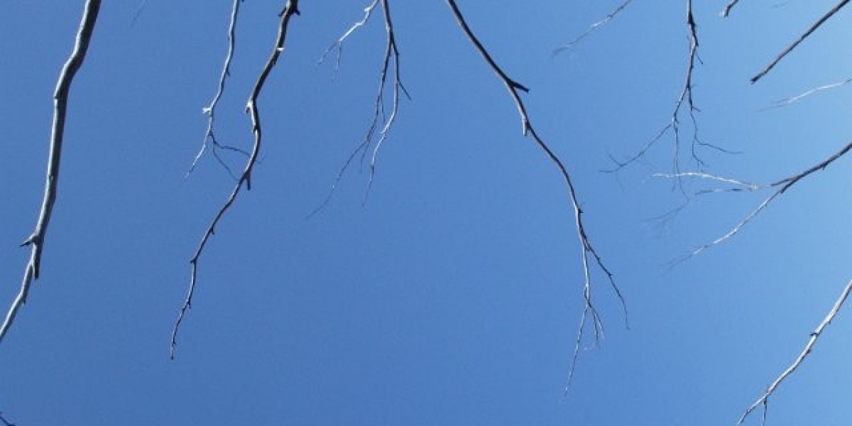 PEZZ: IGF-1-Rechner für Ärztinnen und Ärzte