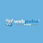 Webpulse Solutions Profile Picture