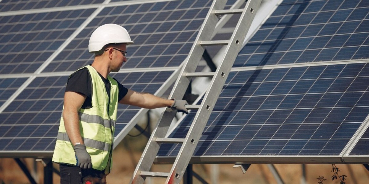 The Rise of Solar Companies Transforming the Energy Landscape