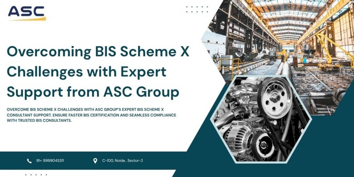 Trusted BIS Scheme X Consultant in India